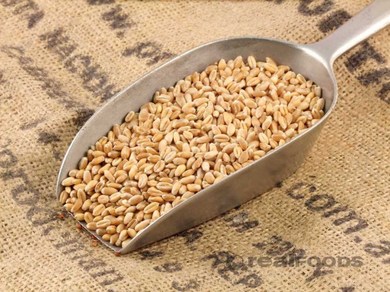 How do I cook Wheat Grain?